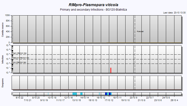 BG120-B-Plasmopara