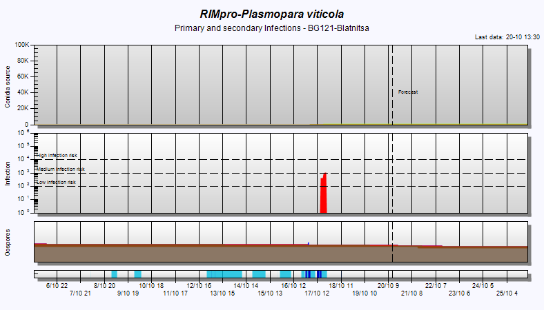 BG121-B-Plasmopara